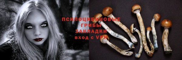 apvp Вязники