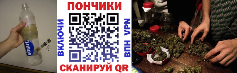 Шишки марихуана Amnesia Камызяк